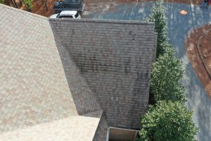 Tree against a roof